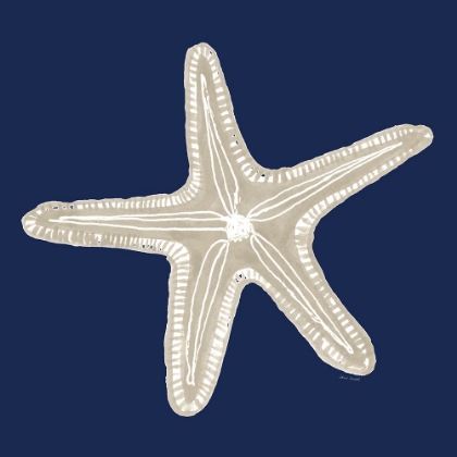 Picture of BEIGE STARFISH ON NAVY II