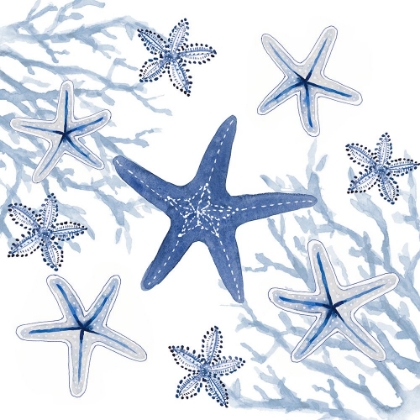 Picture of PERIWINKLE STARFISH SEASCAPE
