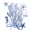 Picture of INDIGO CORAL REEF