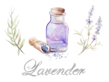 Picture of ESSENTIAL LAVENDER