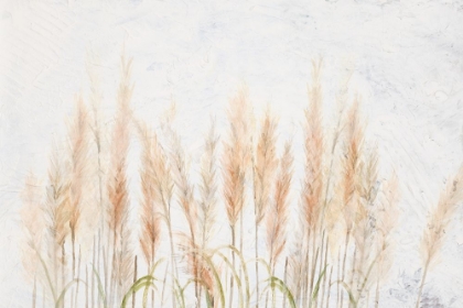 Picture of DELICATE PAMPAS WITH TEXTURED BACKGROUND