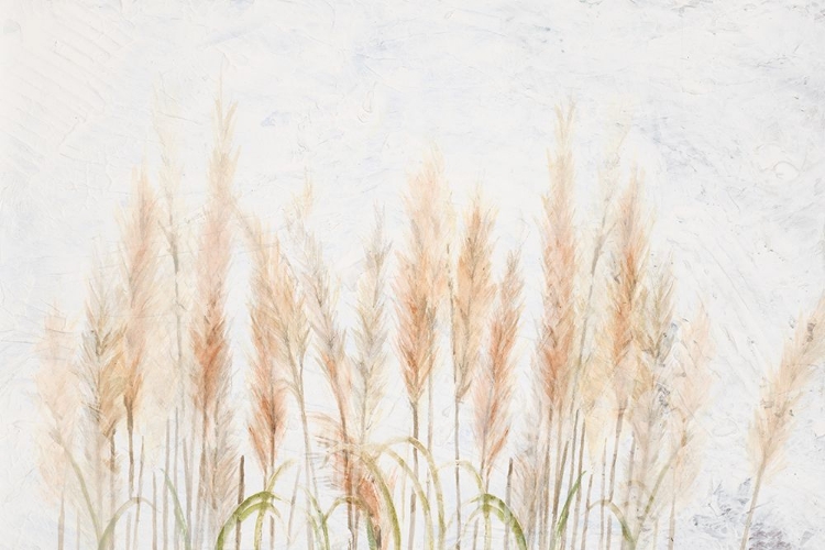 Picture of DELICATE PAMPAS WITH TEXTURED BACKGROUND