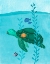 Picture of TONY THE TURTLE