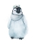 Picture of BABY PENGUIN