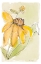 Picture of SWEET DAISY II