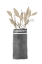 Picture of POTTED PLANT IN A TALL VASE