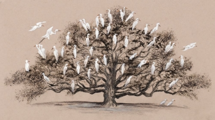 Picture of THE HERON TREE