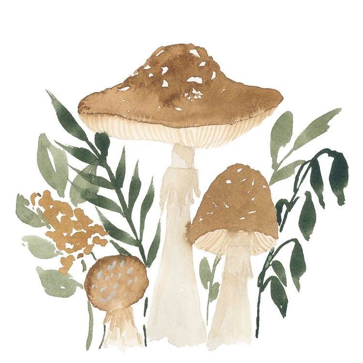 Picture of MUSHROOM GARDEN I