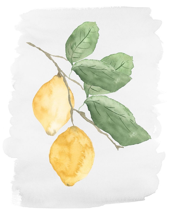 Picture of FRESH LEMONS