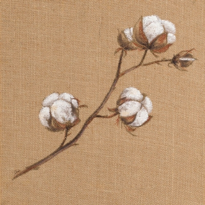Picture of COTTON BRANCH I