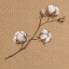 Picture of COTTON BRANCH I