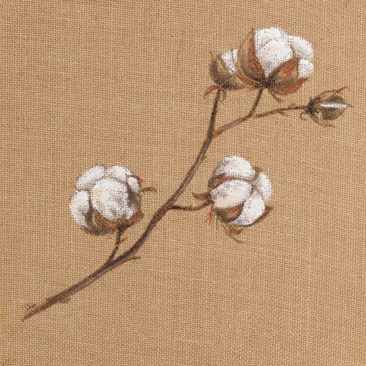 Picture of COTTON BRANCH I