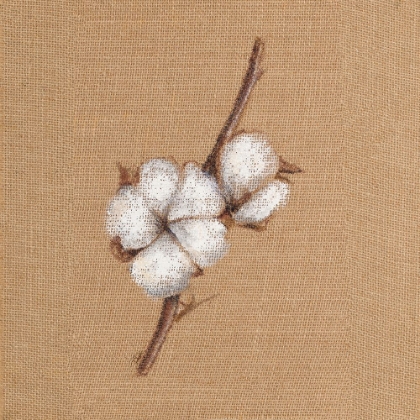 Picture of COTTON BRANCH II