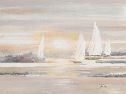 Picture of THE COVE AND SAILBOATS