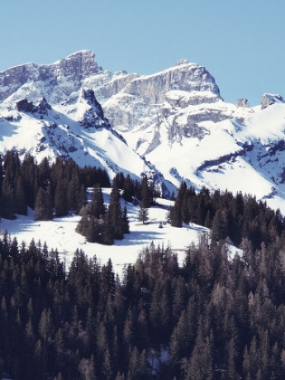 Picture of SNOWY HIKE