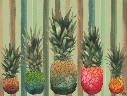 Picture of PINEAPPLES