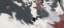 Picture of RED DRIFT WAVES