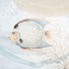 Picture of OCEAN OASIS BUBBLES TROPICAL FISH