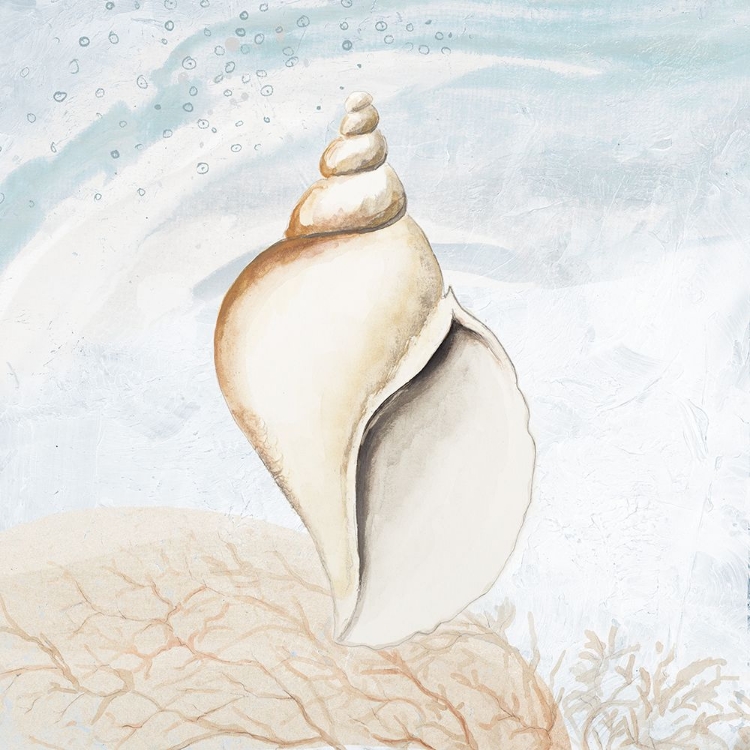 Picture of OCEAN OASIS TROPICAL SEASHELL I