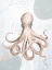 Picture of OCEAN OASIS OCTOPUS II