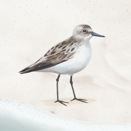 Picture of SANDPIPER ON THE BEACH I