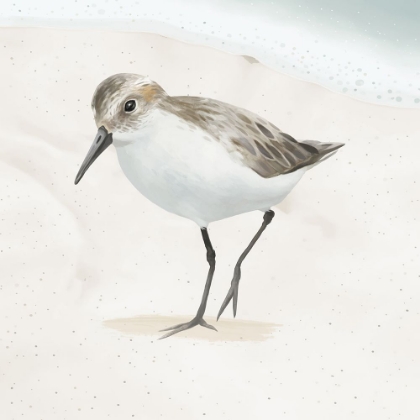 Picture of SANDPIPER ON THE BEACH II