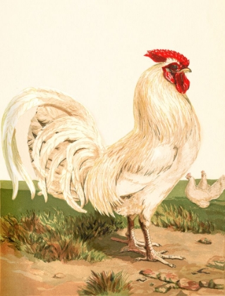Picture of HEN