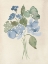 Picture of BLUE BOUQUET I