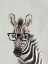 Picture of SERIOUS ZEBRA
