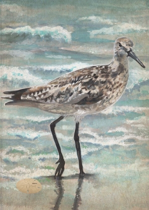 Picture of STROLLING SANDPIPER