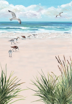 Picture of SEAGULLS ON THE BEACH