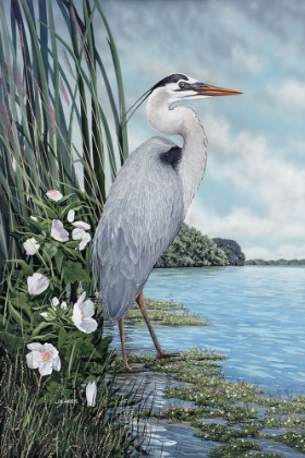 Picture of GREAT BLUE HERON