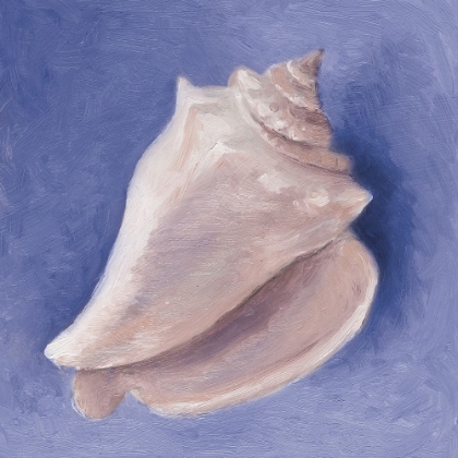 Picture of VERY PERI SHELL I