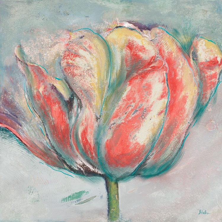 Picture of TEAL AND CORAL TULIP
