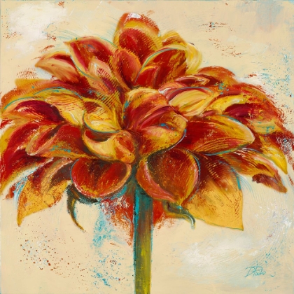 Picture of RED DAHLIA ON CREAM