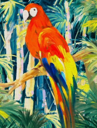 Picture of PARROTS IN TROPICS I