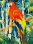 Picture of PARROTS IN TROPICS I