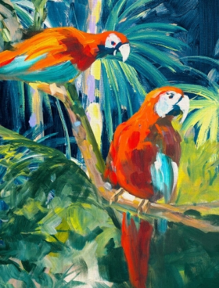 Picture of PARROTS IN TROPICS II