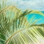 Picture of BRIGHT COCONUT PALM I
