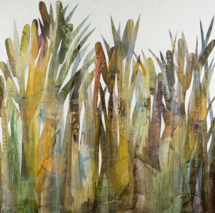 Picture of CATTAILS  