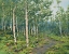 Picture of IN THE FOREST