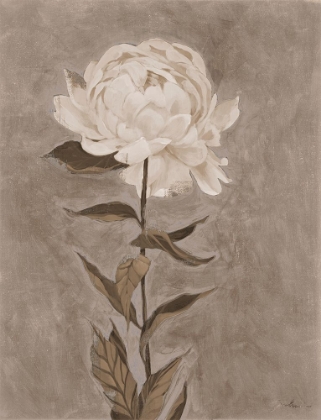 Picture of PRETTY AS A PEONY I