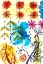 Picture of FLOWER POWER II