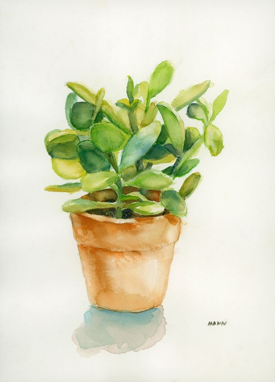 Picture of SUCCULENT I