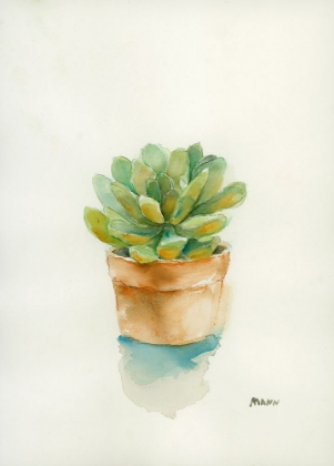 Picture of SUCCULENT II