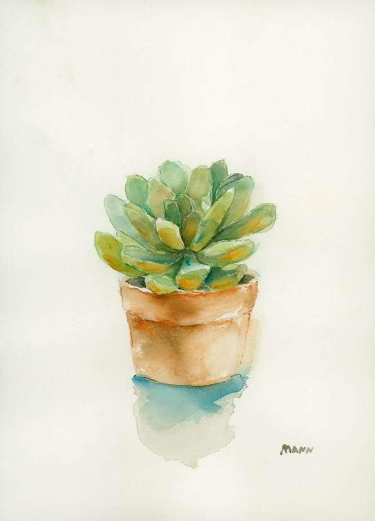 Picture of SUCCULENT II