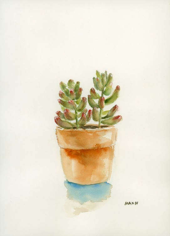 Picture of SUCCULENT III