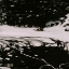 Picture of C37 V31