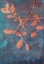Picture of BRANCHING OUT XVIII