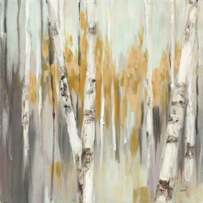 Picture of SILVER BIRCH I